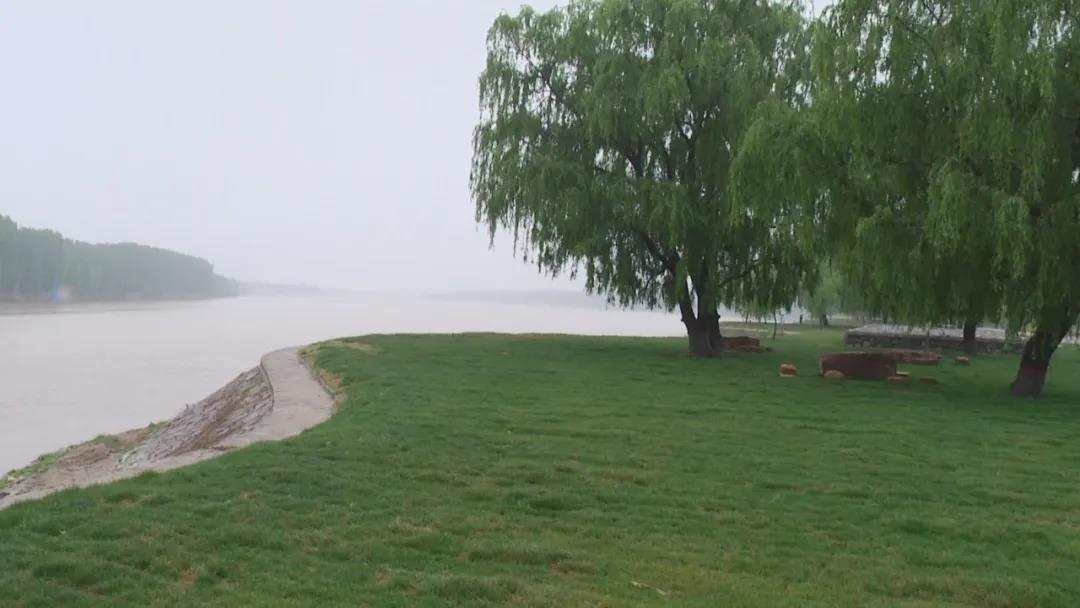 全市林水會(huì)戰(zhàn)觀摩團(tuán)前往黃河之星生態(tài)園觀摩(圖4)