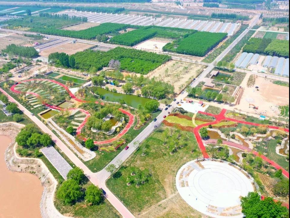 全市林水會(huì)戰(zhàn)觀摩團(tuán)前往黃河之星生態(tài)園觀摩(圖5)