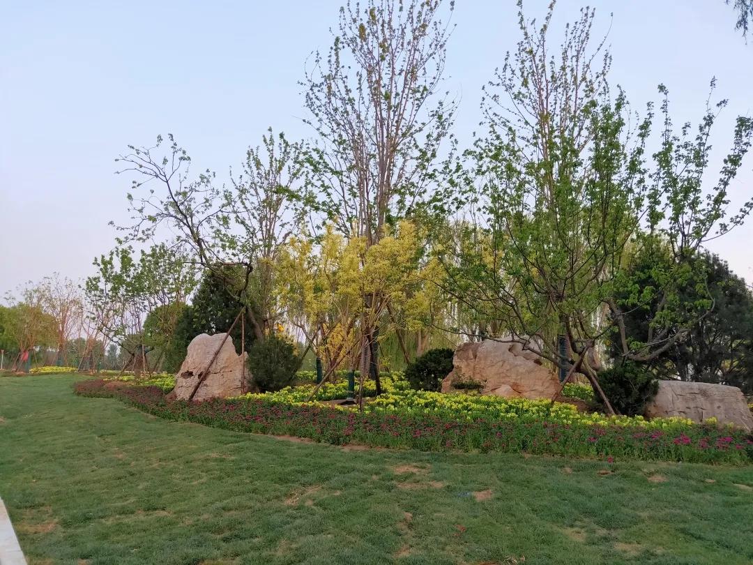 全市林水會(huì)戰(zhàn)觀摩團(tuán)前往黃河之星生態(tài)園觀摩(圖7)