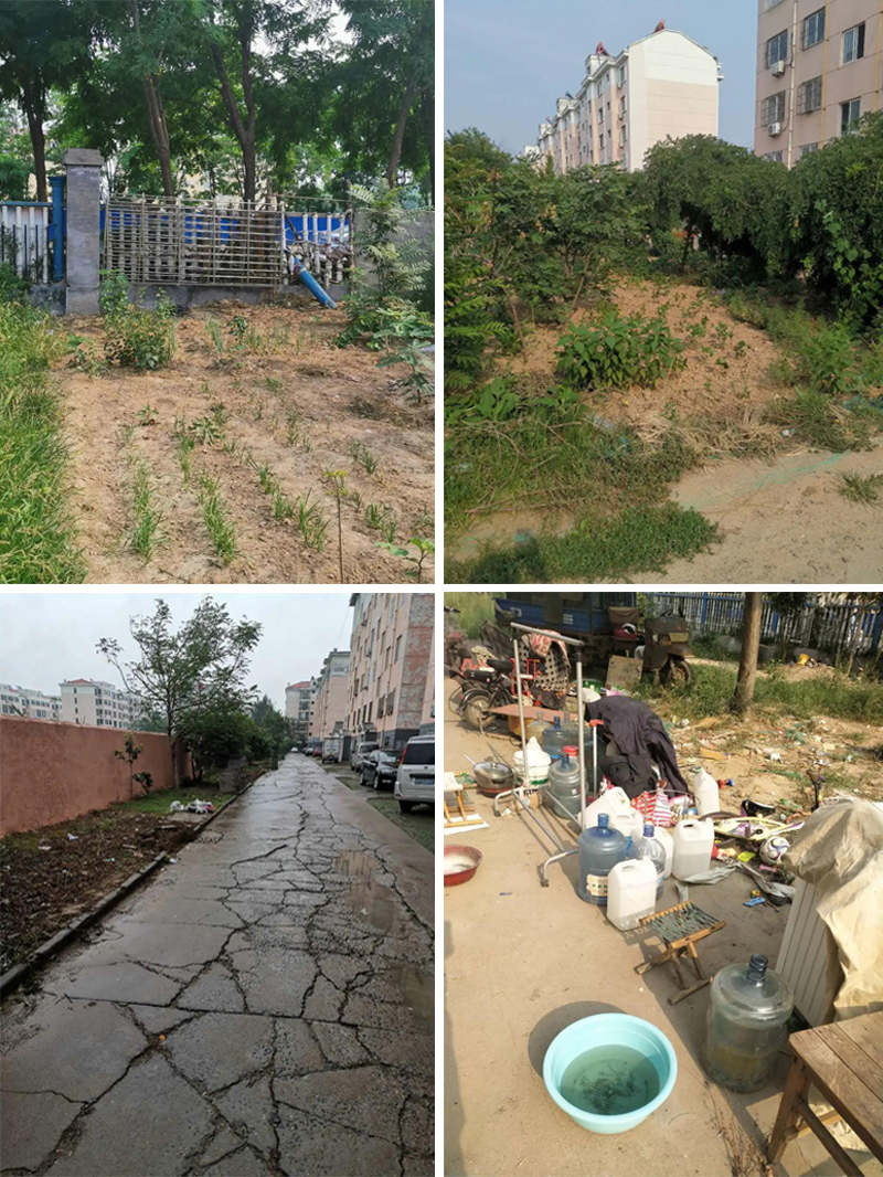 無私奉獻美化環(huán)境，大愛企業(yè)溫暖民心(圖4)