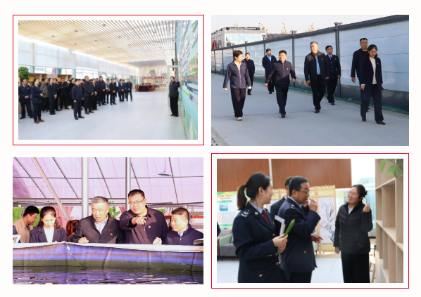 黨建聯(lián)盟聚合力 融合賦能促發(fā)展 ——濱城區(qū)財稅黨建聯(lián)盟走進惠達瑞和集團魚菜菌共生基地(圖2)